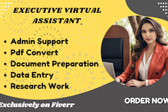 be your executive virtual assistant