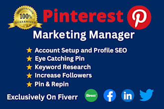 be your professional pinterest marketing manager