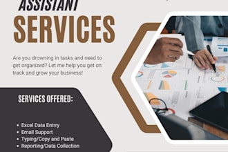 be your virtual assistant for data entry and admin support