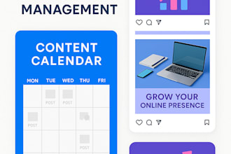 manage and grow your instagram, tiktok or facebook account