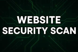 perform a website penetration test and provide a detailed PDF report