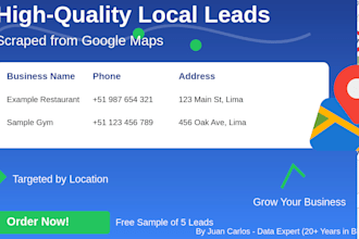 high quality local business leads scraped from google maps