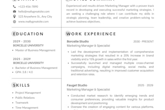 write a professional resume and optimize your linkedin profile