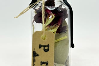 cast very strong protection spell, forgiveness spell, job spell to help you