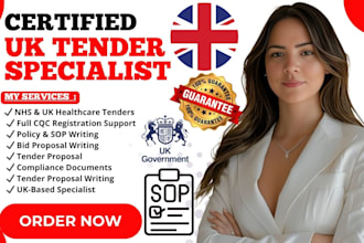 do winning government contract bid proposal writing, UK tender, rfp, rfq, rfi