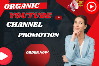 do organic USA youtube promotion to USA audience