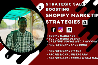 do shopify, facebook, and instagram setup to boost sales and maximize ROI