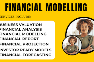 provide investor ready financial models, forecasts, projections or business plan