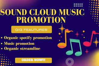 do music promotion spotify music apple music deazer music sound cloud promotion