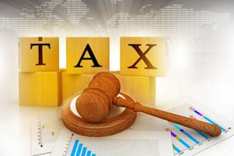 be your german and US tax advisor and prepare vat return
