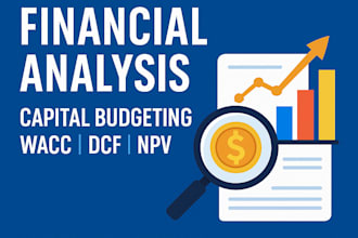 offer financial forecasting business valuation and performance analysis service