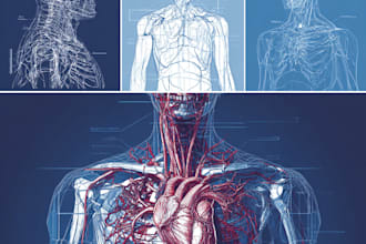 draw exercise, medical and anatomy illustrations