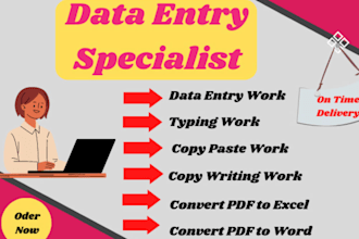 do deta entry copy paste excel and  ms word typing work