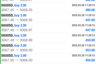 offer forex trading bot, trading bot, forex bot, forex ea, forex trading bot