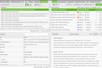 do a complete website SEO audit with actionable insights
