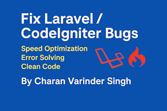 fix bugs and optimize your laravel or codeigniter application