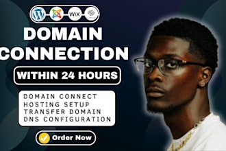 connect domain and set up dns for wordpress, wix, shopify or squarespace website