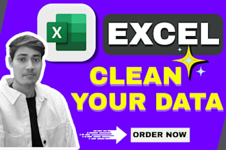 do excel data cleaning and scrubbing for your project