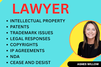 be intellectual property, trademark, patent and copyright infringement lawyer