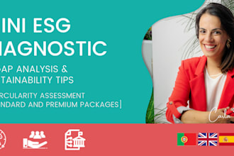 mini esg diagnostic, gap analysis and sustainability tips