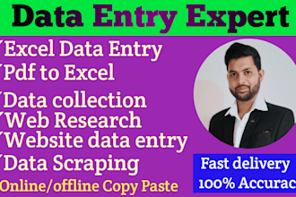 do excel data entry, copy paste, convert pdf, web research