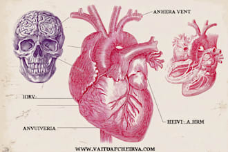 draw exercise, medical and anatomy illustrations