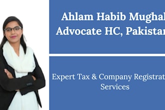 tax return and company registration services
