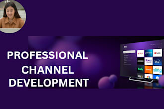 develop a professional roku channel