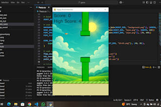 programming  debugging   canva designs  content writing  photography