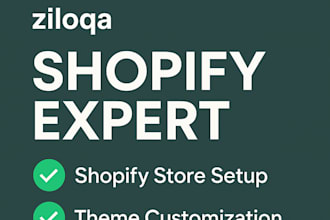 build a professional shopify website or online store