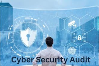 perform a white hat security audit and vulnerability assessment