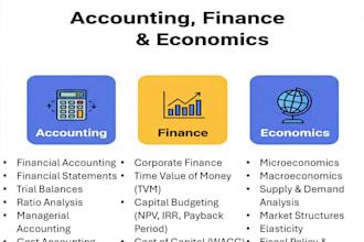 provide corporate finance, management and economics services