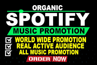 create ads campaign to promote spotify music to around 2k rganic worldwide audie