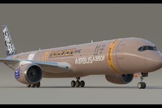create livery for all types of airplane in 24 hours