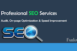 professional technical SEO audit and onpage optimization