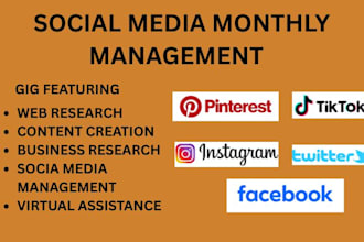 be your monthly social media manager, monthly management, fb twitter instagram