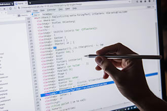 fix wordpress bug, website update, speed boost, error and plugin fix