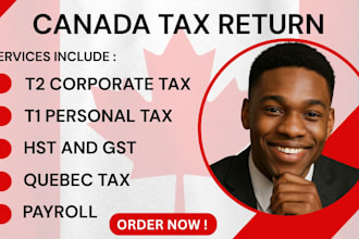 file and optimize your canada tax return and resolve cra issues