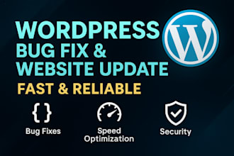 fix wordpress bugs, speed up your site and update website for better performance