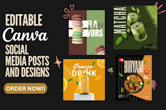design editable canva social media posts, stories, and ads