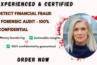 perform expert forensic accounting, financial auditing, detect financial fraud