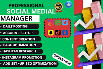create and set up aii socal media business account and channel professionally