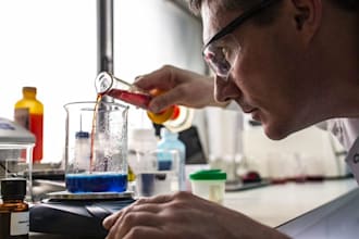 develop food, beverage and supplement product formulation, protein powder recipe