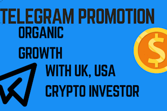 do telegram promotion setup telegram channel get 1m usa crypto memecoin investor