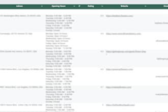 scrape targeted b2b leads with business name email phone location websites
