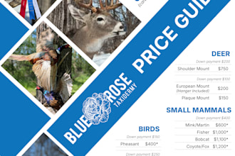 design a flyer or brochure to fit your business needs
