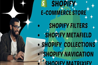 setting up shopify filters, metafields, collections, navigation, matrixify