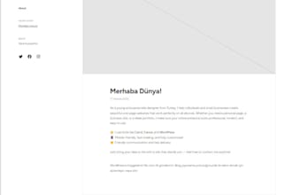 design a professional portfolio or link in bio site