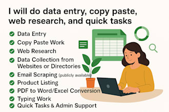 do data entry, excel tasks, copy paste and admin support