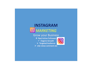 do fast organic instagram growth
